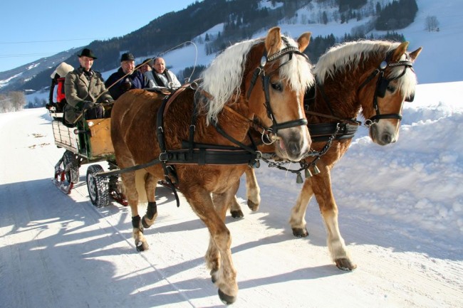 Gemütliche Pferdeschlittenfahrt durch tief verschneite Winterlandschaften (© Region Schladming-Dachstein, Herbert Raffalt)