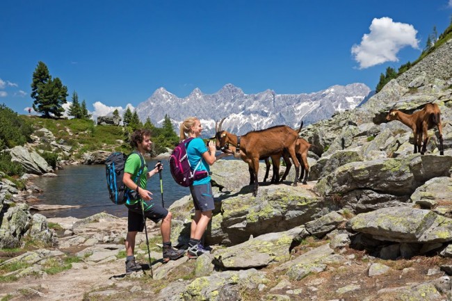 Wandern in den Bergen um Schladming (© Region Schladming-Dachstein, Herbert Raffalt)