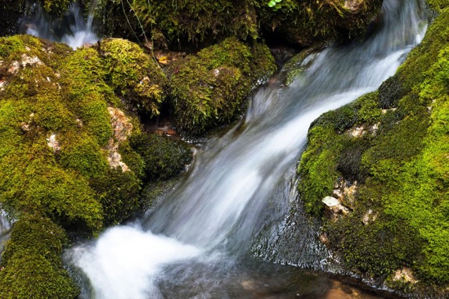 Entdecken Sie das Natur-Erlebnis "Wilde Wasser"